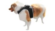Monitor Dog Position w/ Mini GSM GPRS GPS Realtime Collar Pet Tracker Size:M