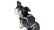 Mini Pet Tracker Collar Mount for Lost Pet Dog & Cat w/ SMS Reporting Size:M