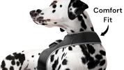 Locate Pet w/ GPS Dog Tracker Collar Mounted Realtime Tracking Device Size:M