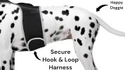 Locate Pet w/ GPS Dog Tracker Collar Mounted Realtime Tracking Device Size:M