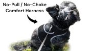 Mini Pet Tracking Collar Wireless Surveillance Security for Cats Dogs Size:M
