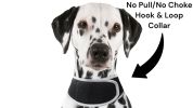 Monitor Dog Position w/ Mini GSM GPRS GPS Realtime Collar Pet Tracker Size:M