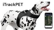 Locate Pet w/ GPS Dog Tracker Collar Mounted Realtime Tracking Device Size:M
