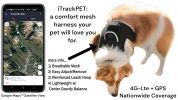 Mini Pet Tracker Collar Mount for Lost Pet Dog & Cat w/ SMS Reporting Size:M