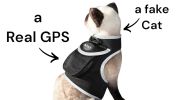 Mini Waterproof Realtime Portable GPS Pet Tracker for Dog Cat Tracking Size:M