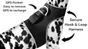 Mini Pet GPS Tracker Cat Dog Finder GSM GPRS Realtime Tracking Device Size:M
