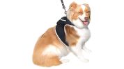Mini Waterproof Realtime Portable GPS Pet Tracker for Dog Cat Tracking Size:M