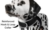 Monitor Dog Position w/ Mini GSM GPRS GPS Realtime Collar Pet Tracker Size:M