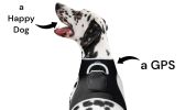 NEW Budget Friendly Pet Tracker GPS Pet Locator - Best Dog Tracking Device Size:M
